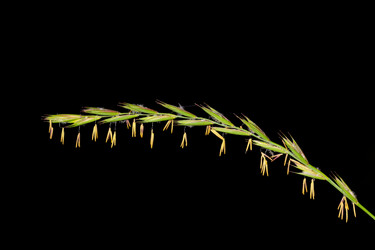 Similar image 21210848