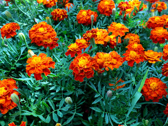 Similar image 21236814