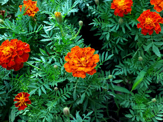 Similar image 21236815