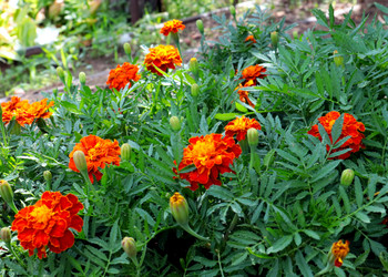 Similar image 21236817