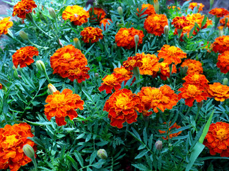 Similar image 21236819