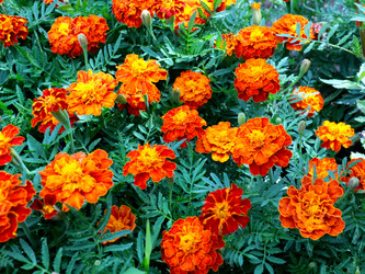 Similar image 21236830