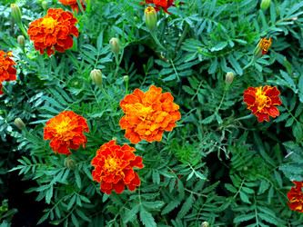 Similar image 21236831