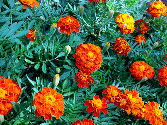 Similar image 21236832