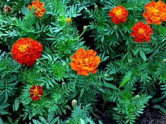 Similar image 21236834