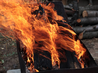 Similar image 21205413