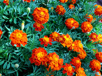 Similar image 21236836