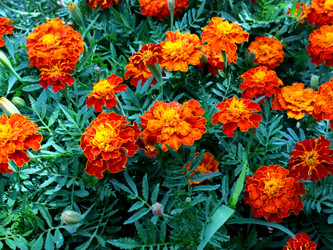 Similar image 21236837