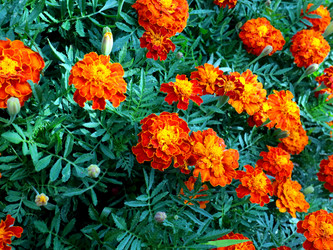 Similar image 21236839