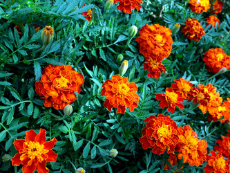 Similar image 21205414