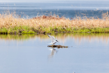 Similar image 21210755