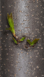 Similar image 21210874