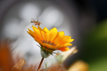 Similar image 21210889