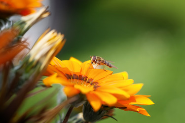 Similar image 21210890