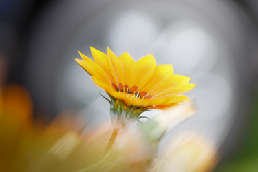 Similar image 21210891