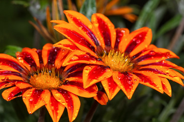 Similar image 21210893