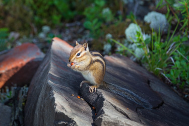 Similar image 21210897