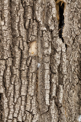 Similar image 21206611