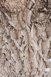 Similar image 21206612