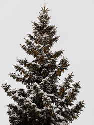 Similar image 21206614