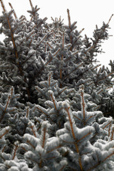 Similar image 21206616