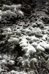 Similar image 21206617