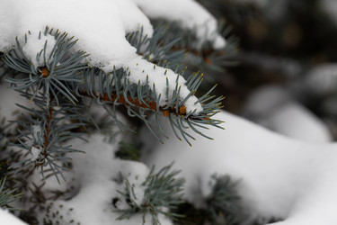 Similar image 21206618