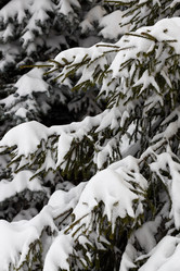 Similar image 21206619