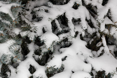 Similar image 21206620