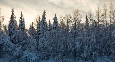 Similar image 21207376