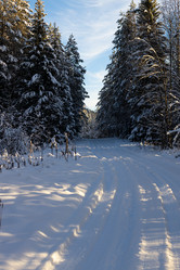 Similar image 21207378