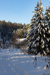 Similar image 21207379