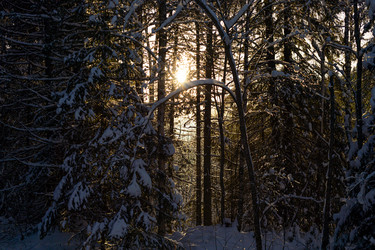 Similar image 21207380