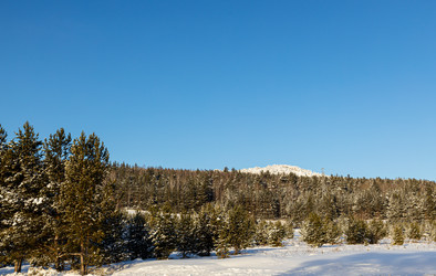 Similar image 21207385