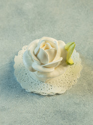 Similar image 21207386