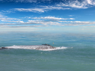 Similar image 21236842