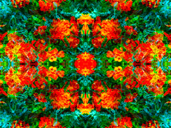 Similar image 21236843