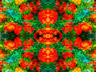 Similar image 21236844