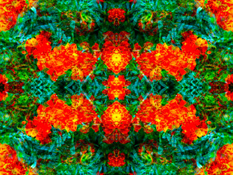 Similar image 21241838