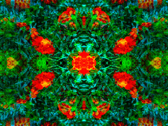 Similar image 21241839