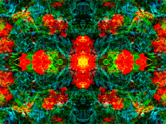 Similar image 21241840