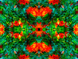 Similar image 21241841