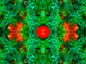 Similar image 21241843