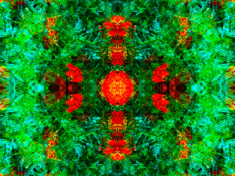 Similar image 21241844