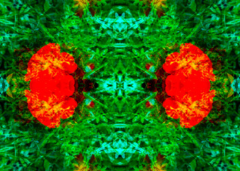 Similar image 21241846