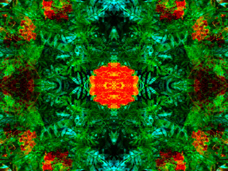 Similar image 21241873