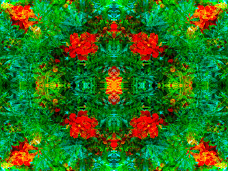 Similar image 21241876