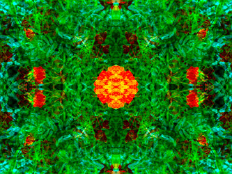 Similar image 21244549