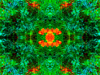 Similar image 21244551