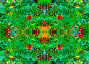 Similar image 21244553